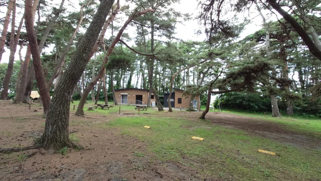 大洗キャンプ場イエローエリアの新しいサニタリー