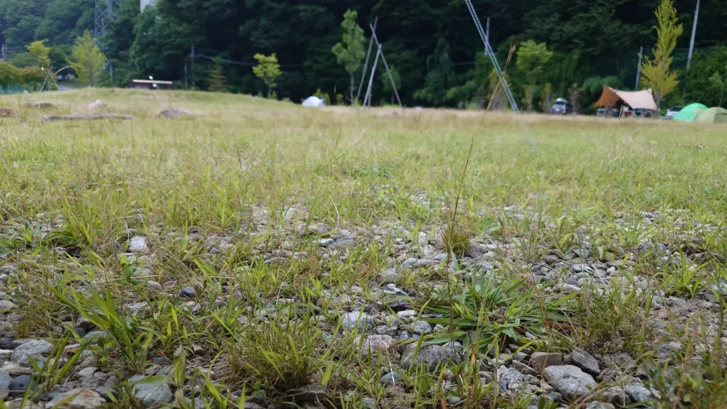 川治温泉薬師の湯キャンプ場サイト地面のようす