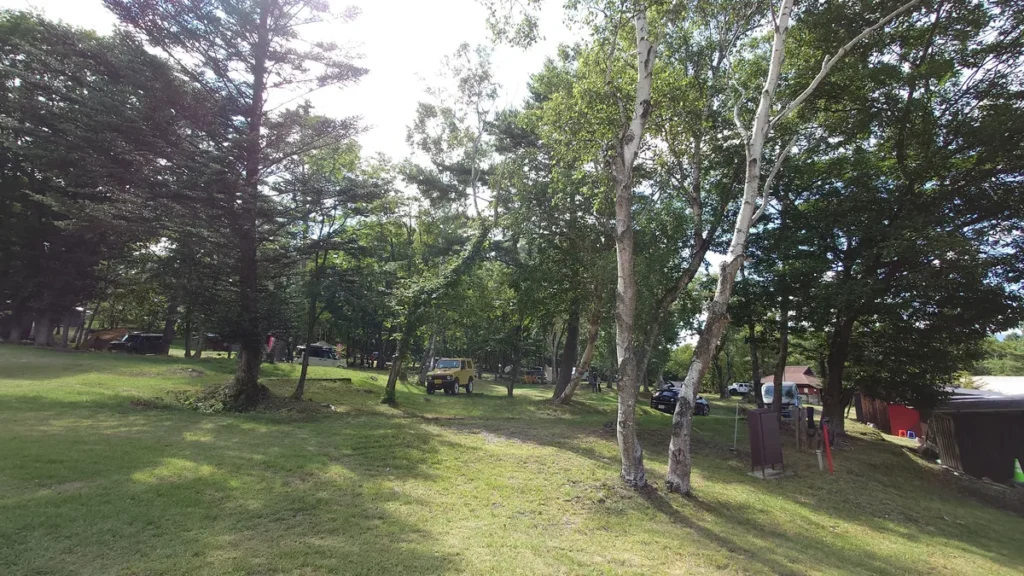 Asama Park Field 林間フリーサイト