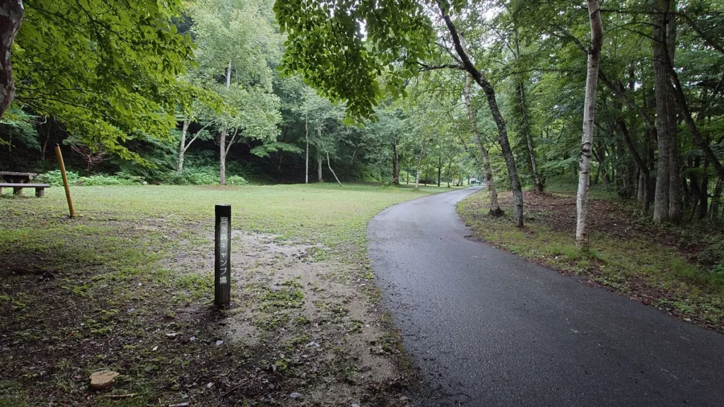 安ヶ森キャンプ場Ｄサイト