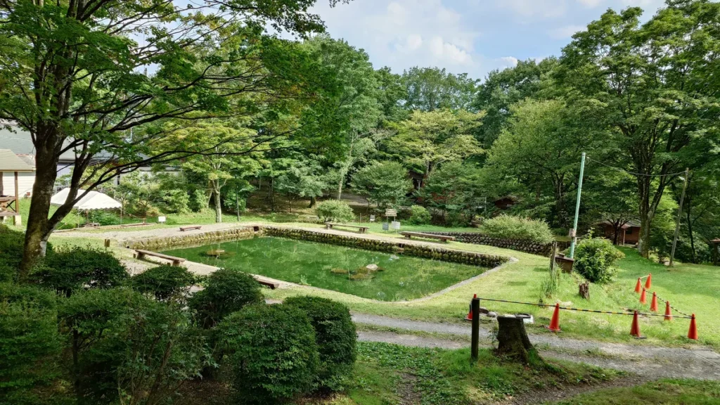 わらび平森林公園キャンプ場釣り堀池