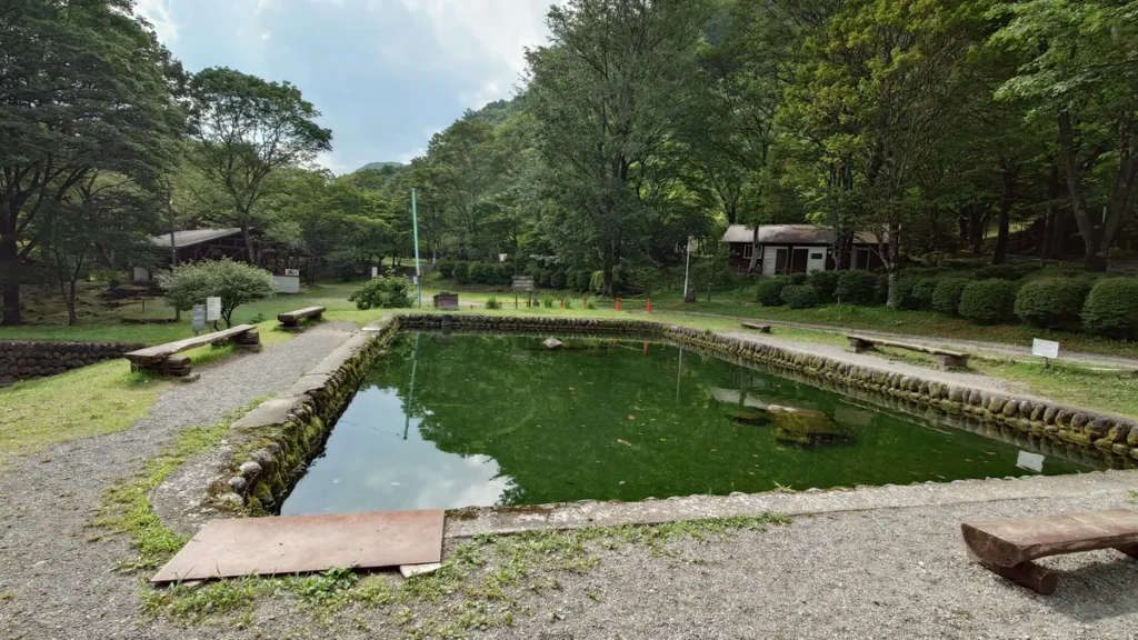 わらび平森林公園キャンプ場釣り堀池