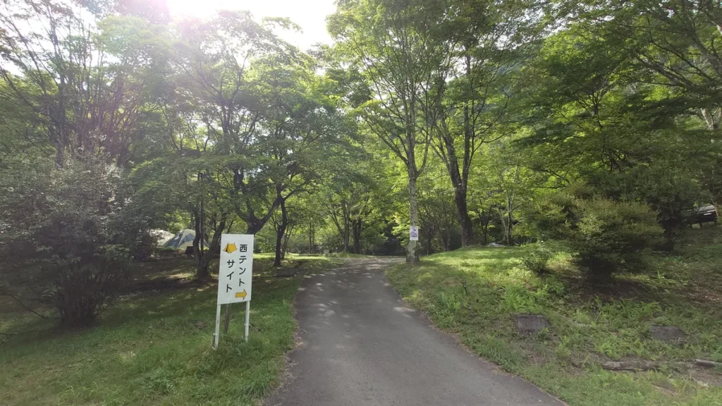 わらび平森林高キャンプ場西サイト入口