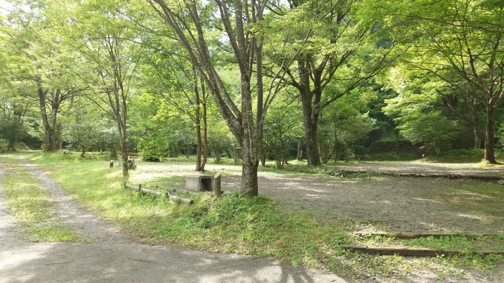 わらび平森林公園キャンプ場西サイト