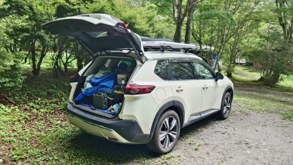 バッテリーが上がって扉が閉まらない車