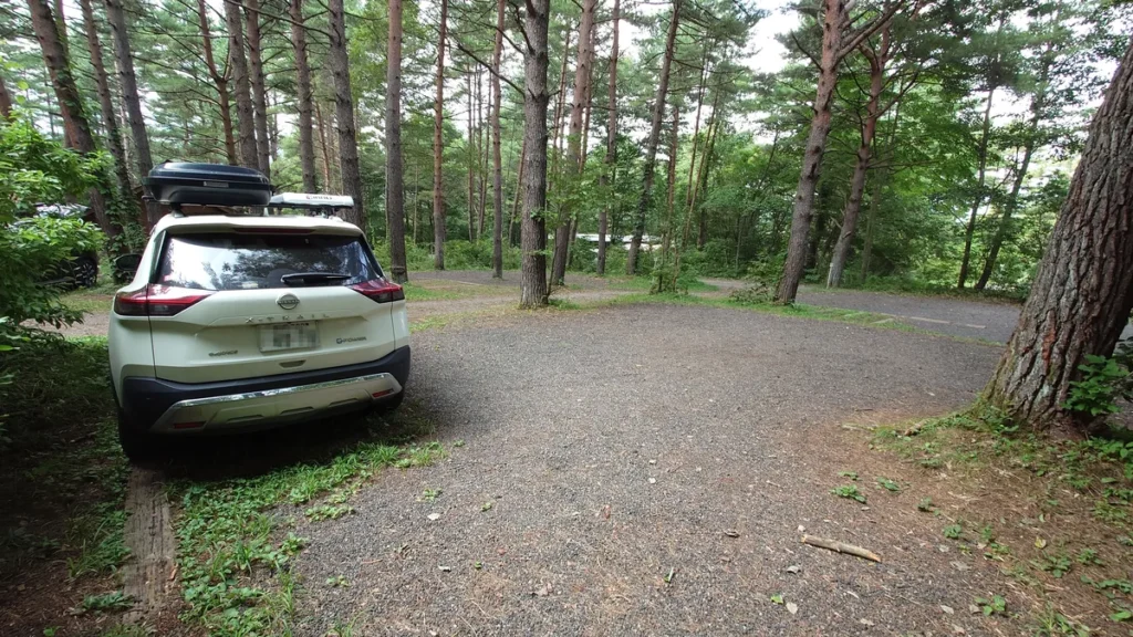 カンパーニャ嬬恋キャンプ場林間サイト