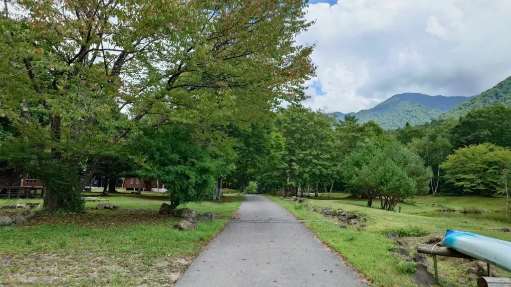 フリーサイトへの道