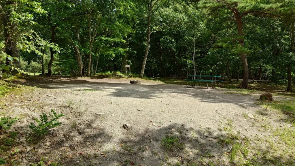 ワイルドフィールズおじか区画サイトNo.8