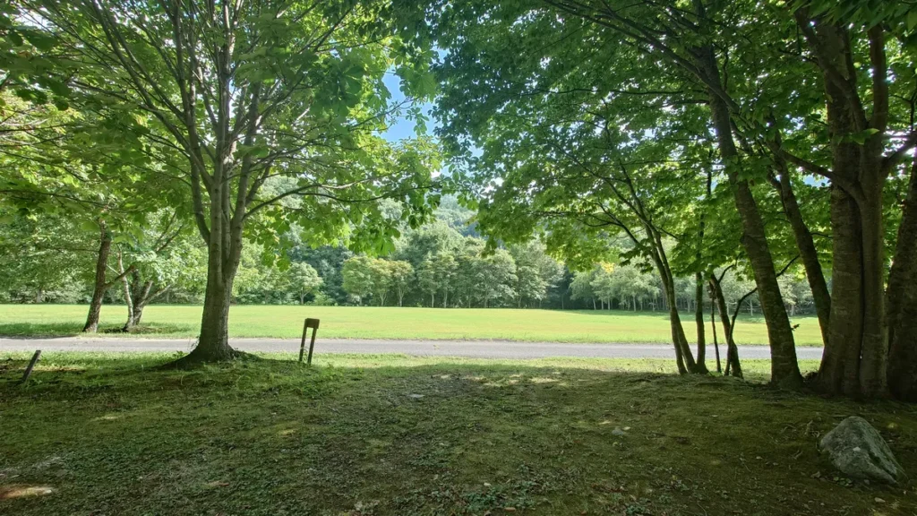 正面に見えるワーイワーイ広場