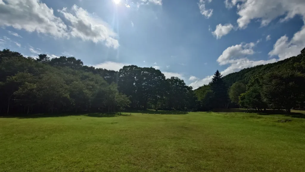 ワーイワーイ広場南側