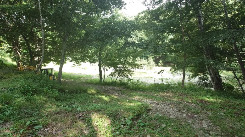 ワーイワーイ広場から男鹿川に降りる道