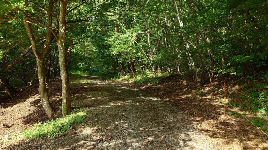 男鹿川を渡った先の林道