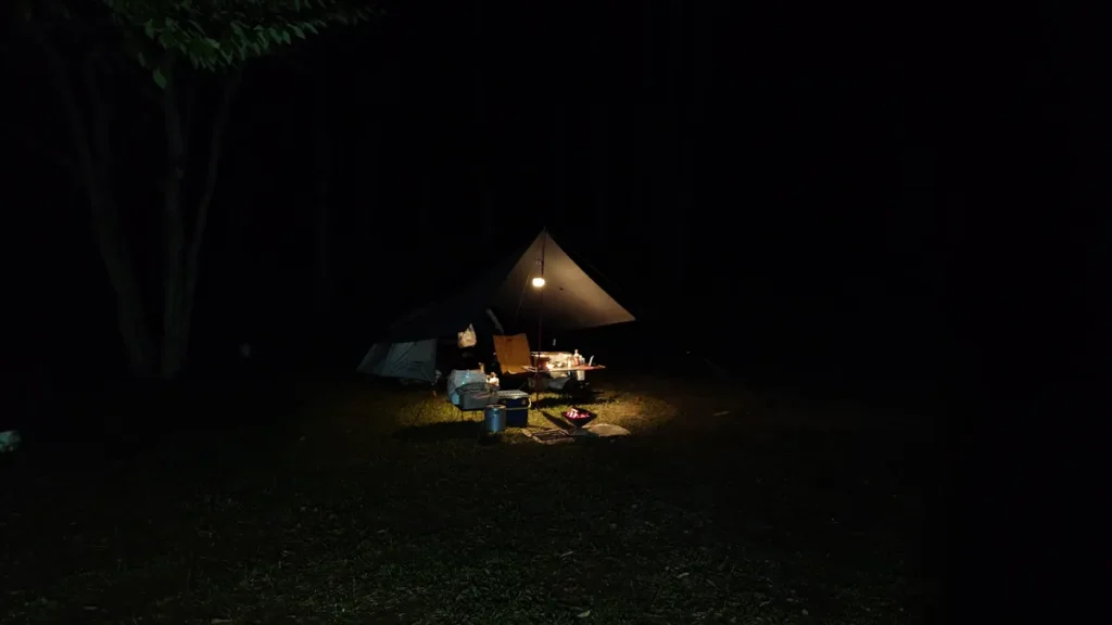 夜のフリーサイト