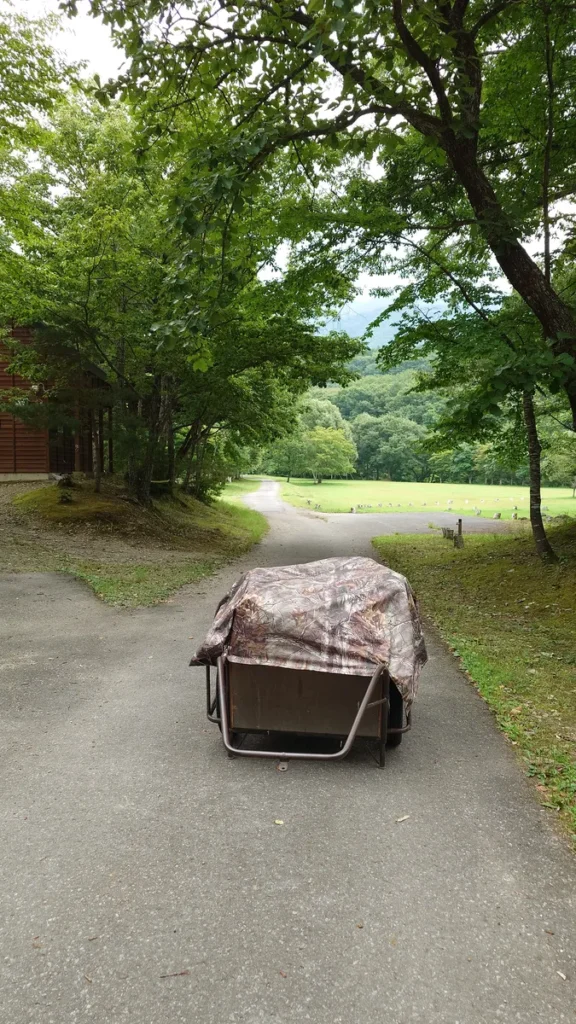 フリーサイトへの道の中間地点フリーサイト方面