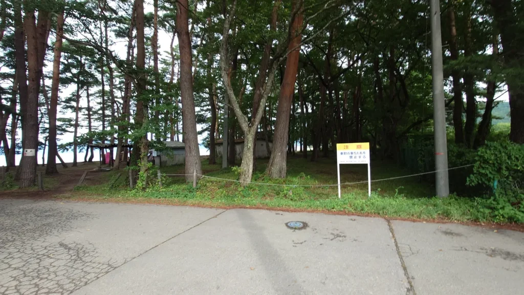 湖南七浜秋山浜松林