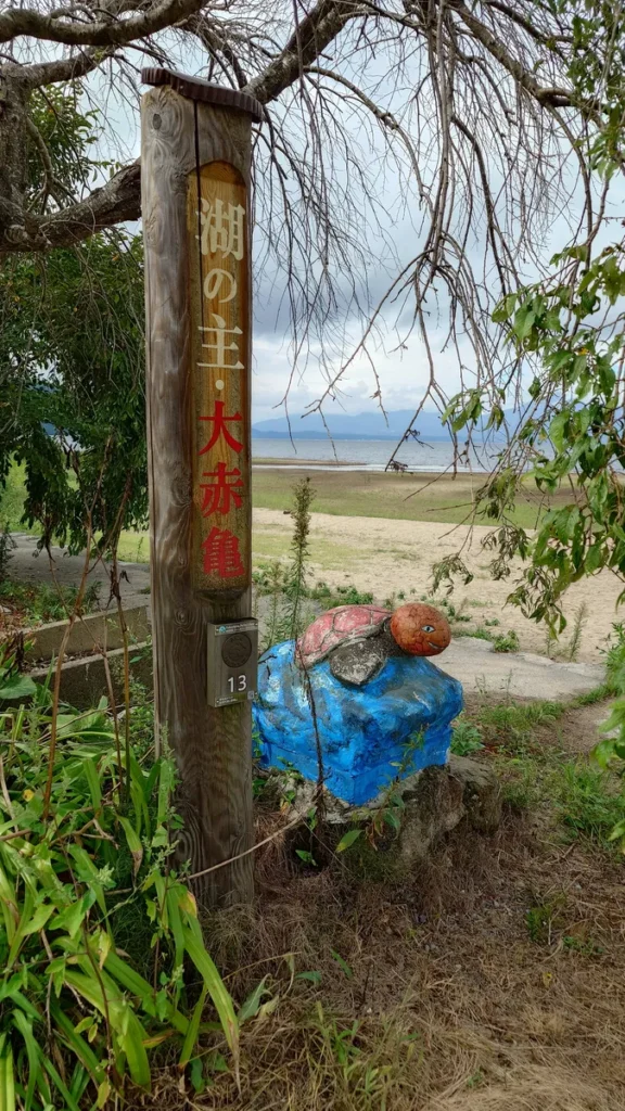 湖南七浜青松浜湖の主大赤亀