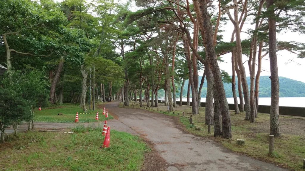 湖南七浜舟津公園松林