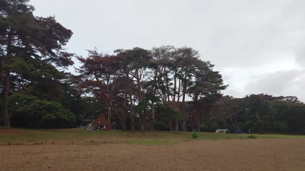 猪苗代湖畔舘浜のキャンプ場