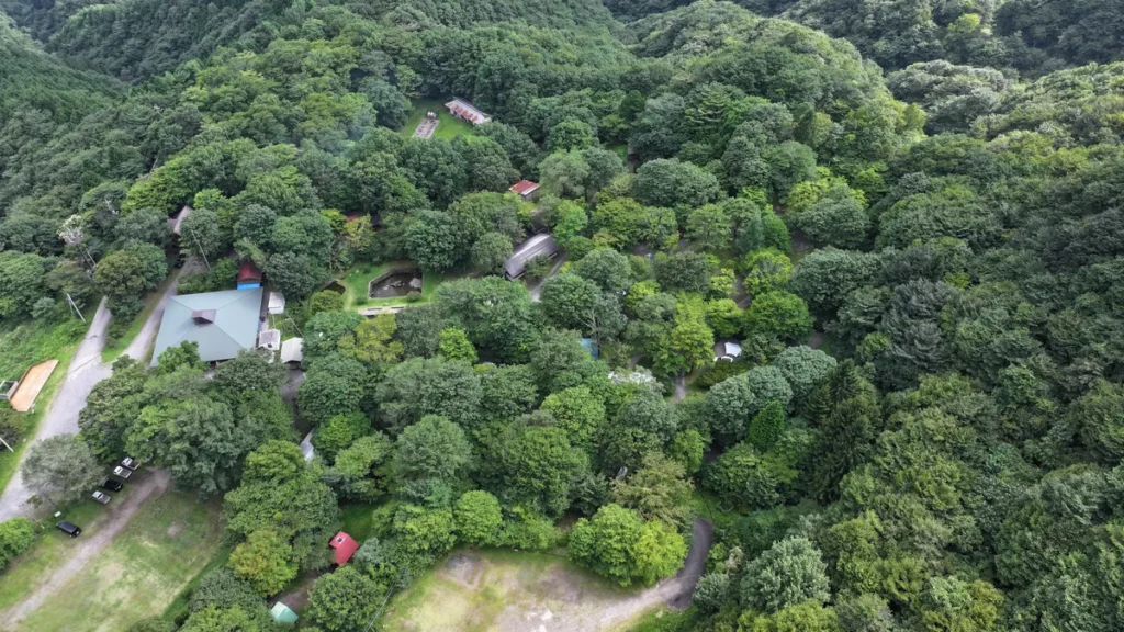 わらび平森林公園キャンプ場俯瞰画像