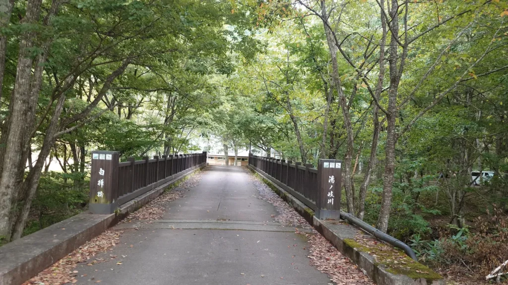 しらかば公園キャンプ場湯ノ岐川白樺橋