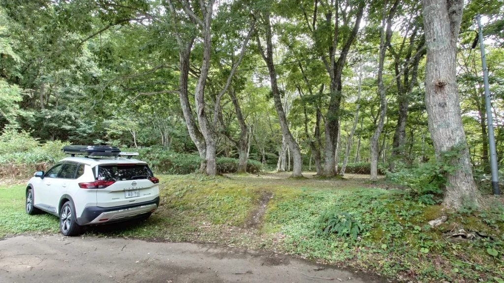 しらかば公園キャンプ場フリーサイト管理棟裏付近