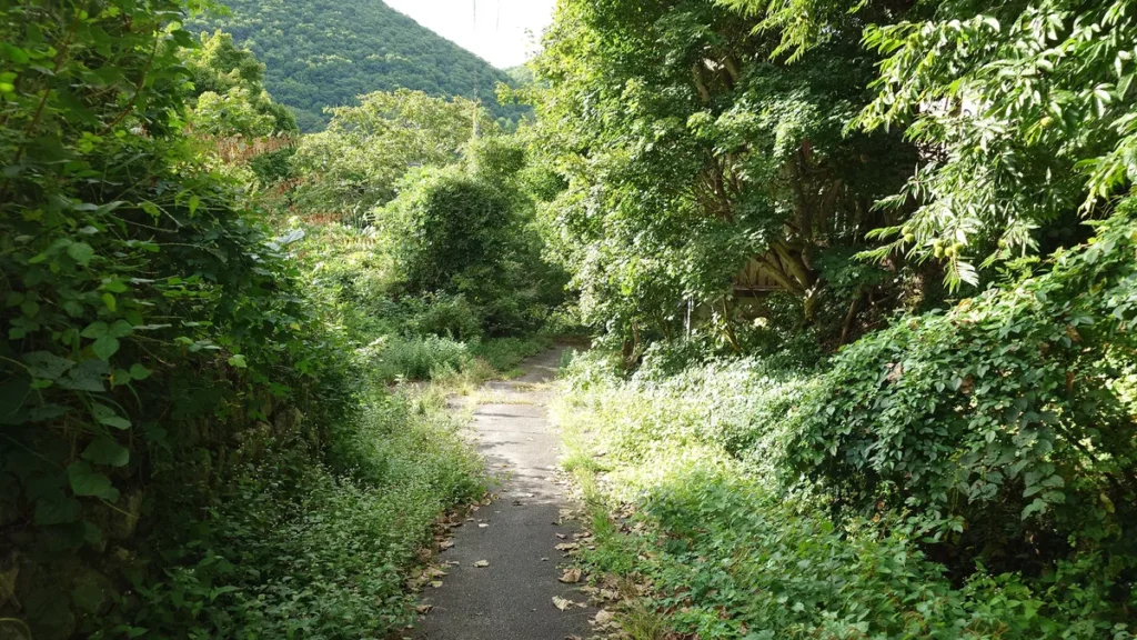 湯ノ花温泉石湯への道