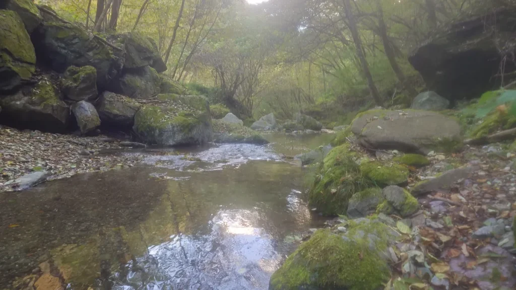 渓流釣り場ようらくの釣り場