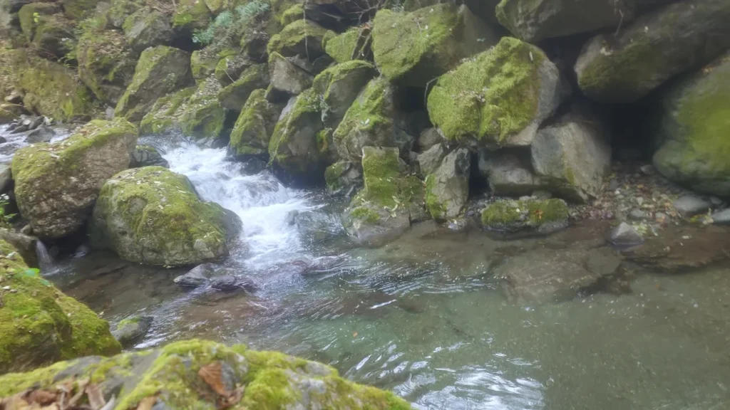 渓流釣り場ようらくの釣り場