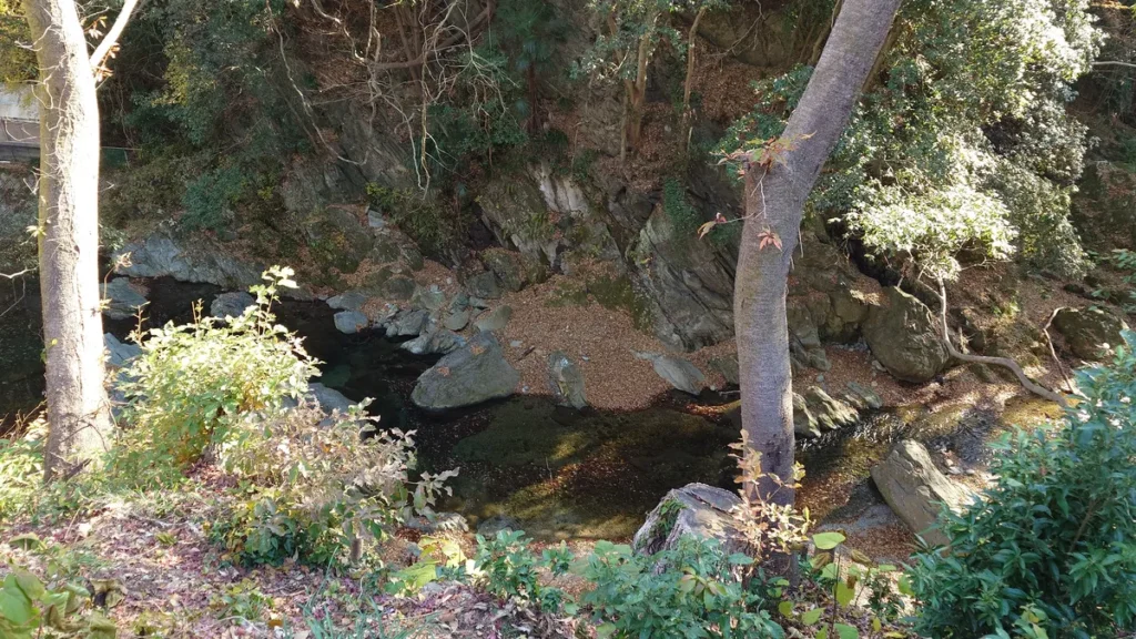 里山VILLAGE四季彩館キャンプ場ソロデュオエリアから見下ろした都幾川