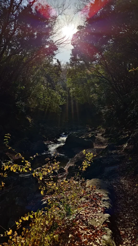 都幾川三波渓谷