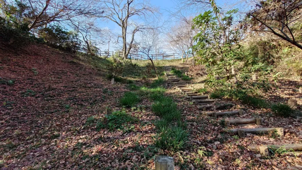 里山VILLAGE四季彩館キャンプ場ソロデュオエリアへ続く階段