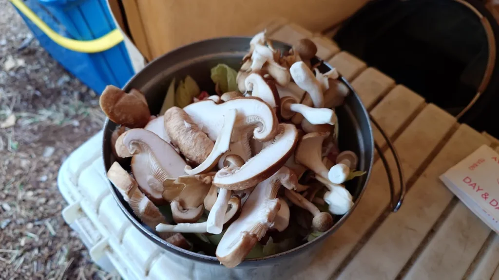 具材山盛りの鍋