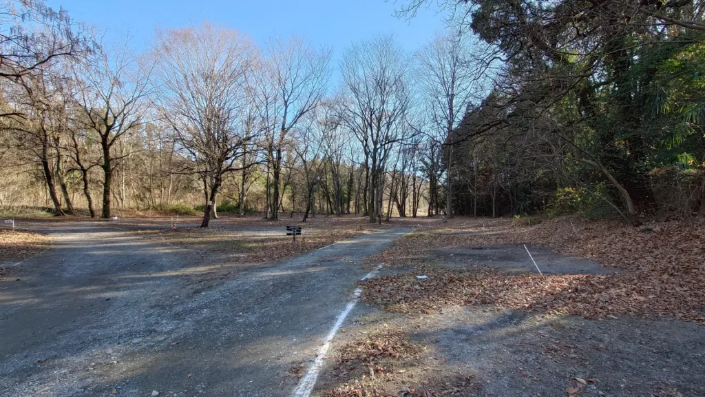 武甲キャンプ場林間サイト奥行き