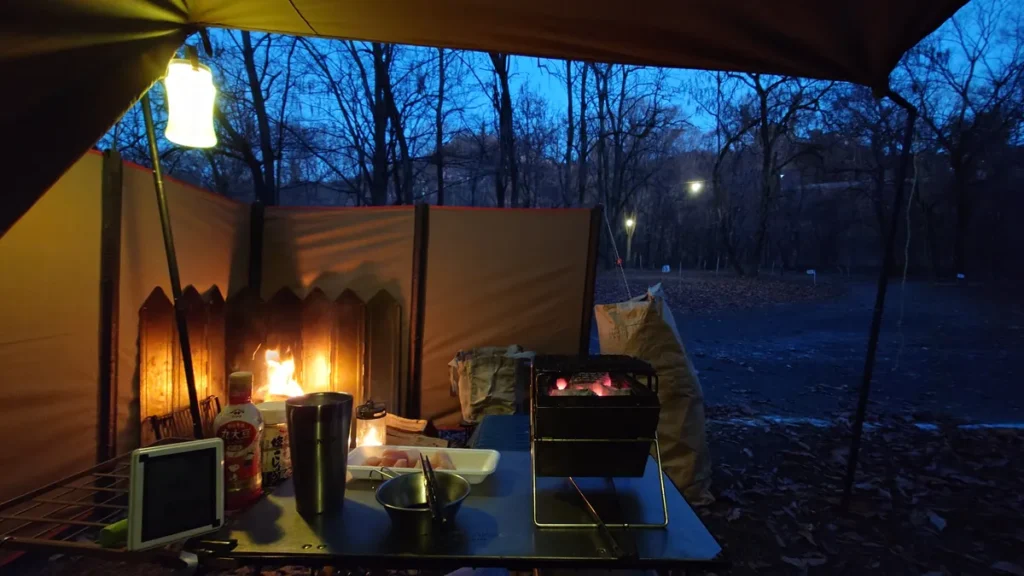 テントから暗くなった林間サイトを眺める