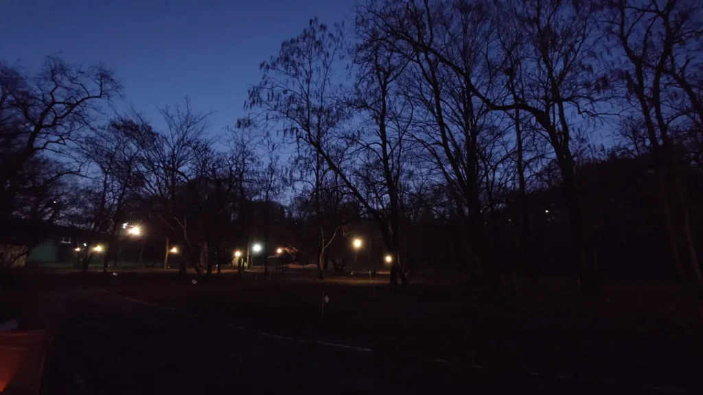 武甲キャンプ場林間サイト夜の風景