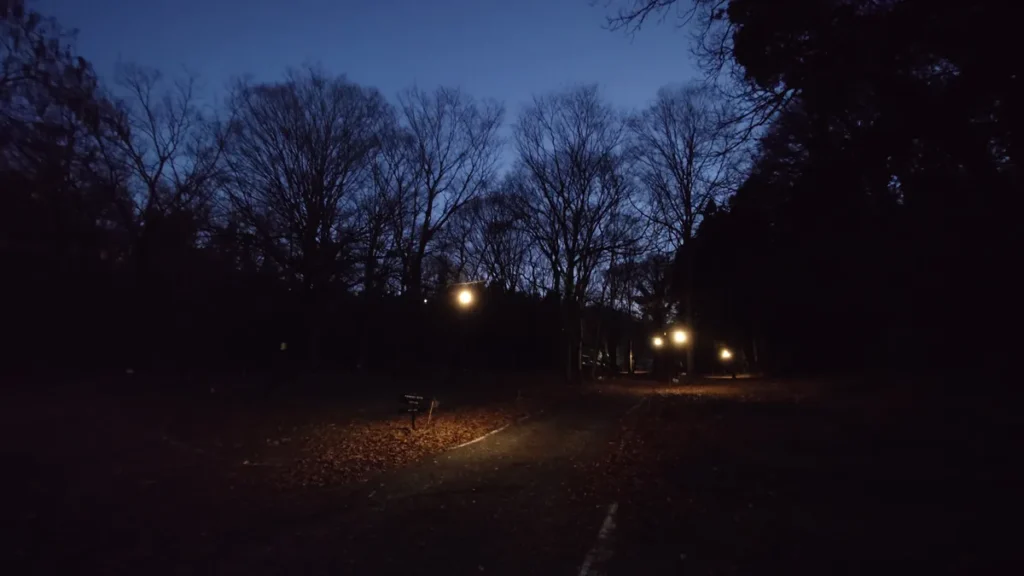 武甲キャンプ林間サイト夜の風景奥