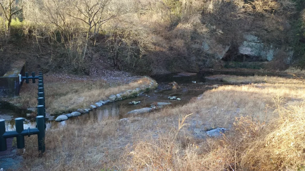 上木馬瀬砂防堰堤らせん魚道上流
