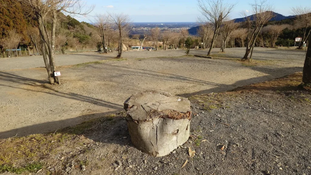 にこにこキャンプ下段サイトに置かれた丸太