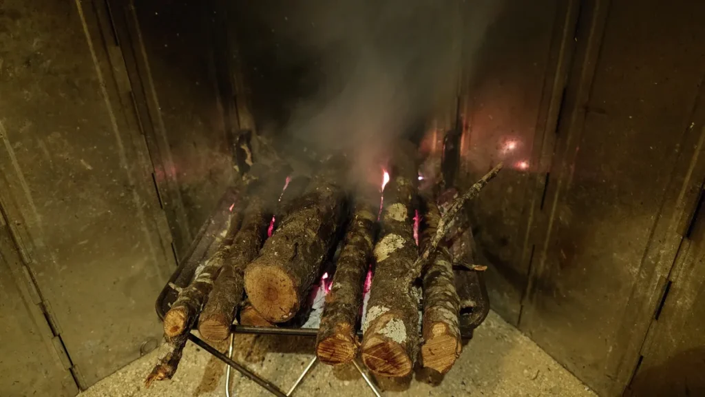 温度がこもって着火した梅の木