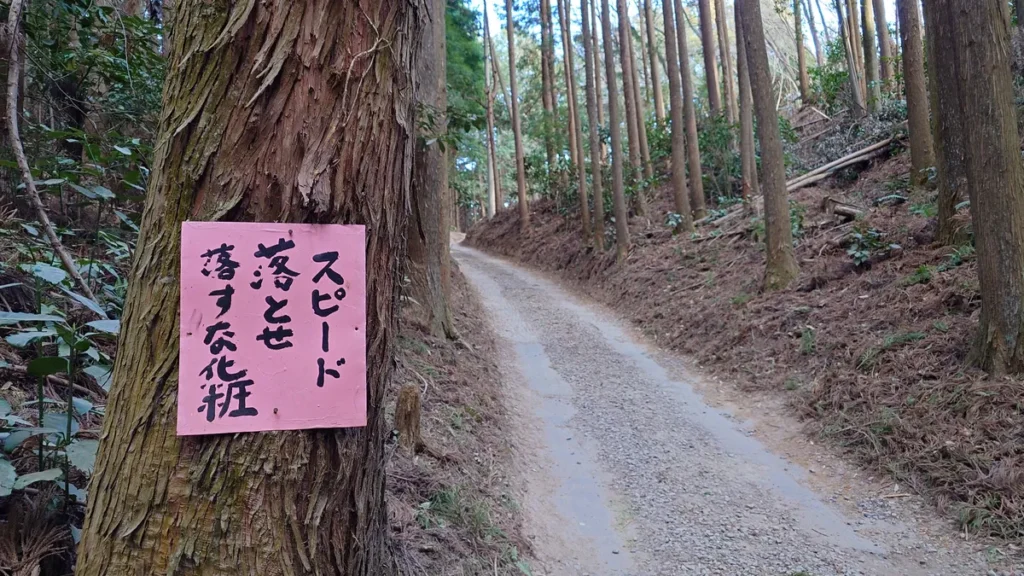 にこにこキャンプ林道