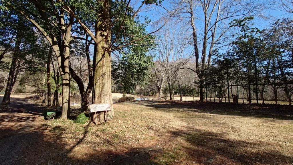 サンランド栃木オートキャンプ場ソロエリア方面