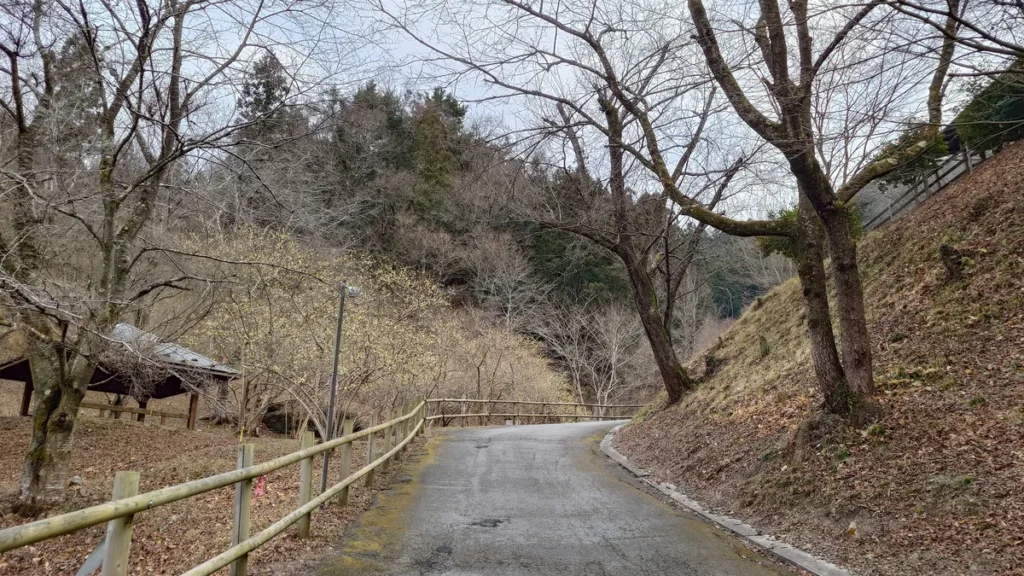 満願ビレッジへの道