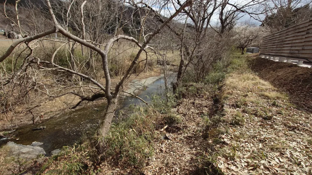 ぼくらのミナノベースバレルサウナ裏を流れる三沢川