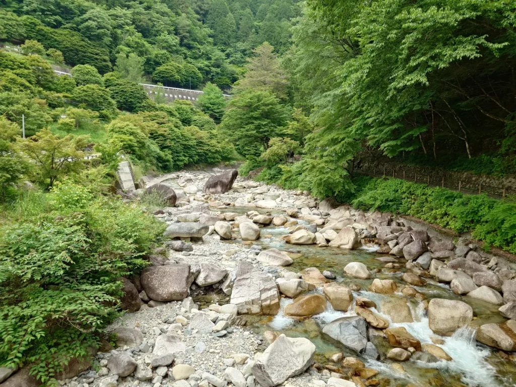 竜神の滝キャンプ場せせらぎ橋から見た上流