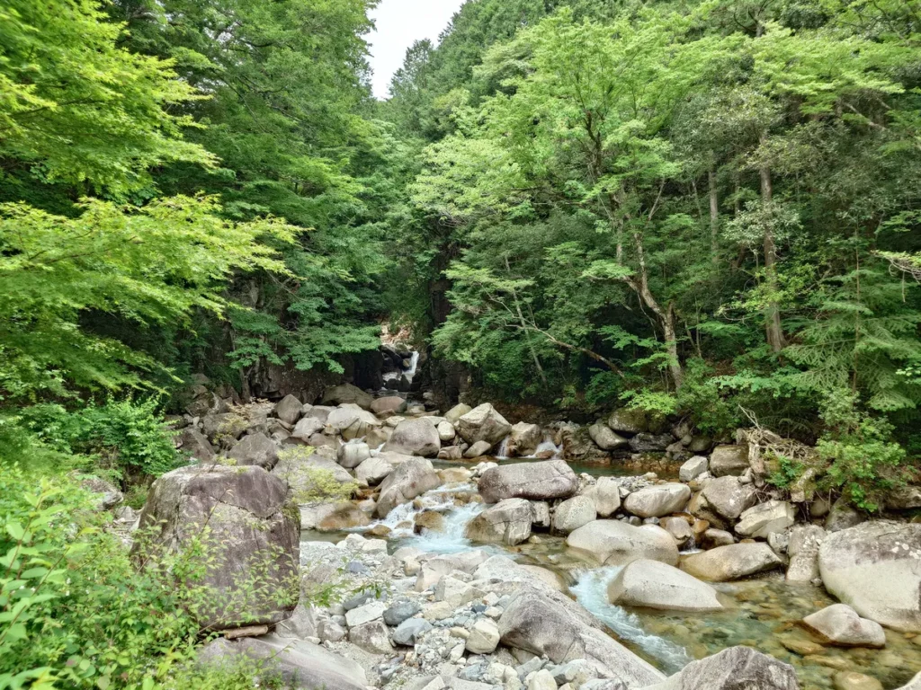 竜神の滝もみじ橋上流