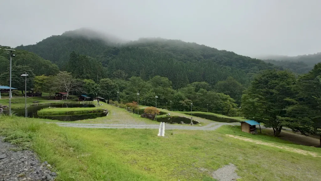 釣り場恵比寿駐車場から見下ろしたポンドの様子
